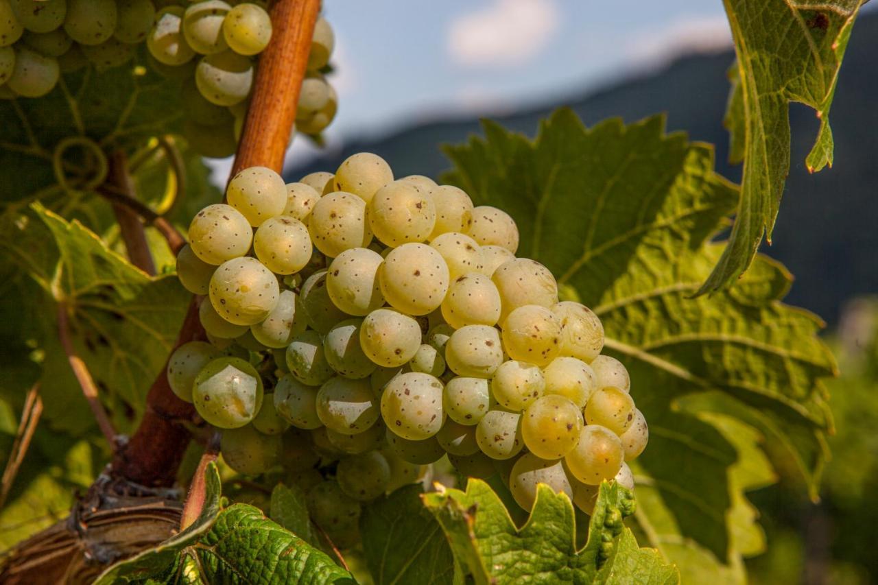 Hotel Landgasthof Winzerscheune Valwig